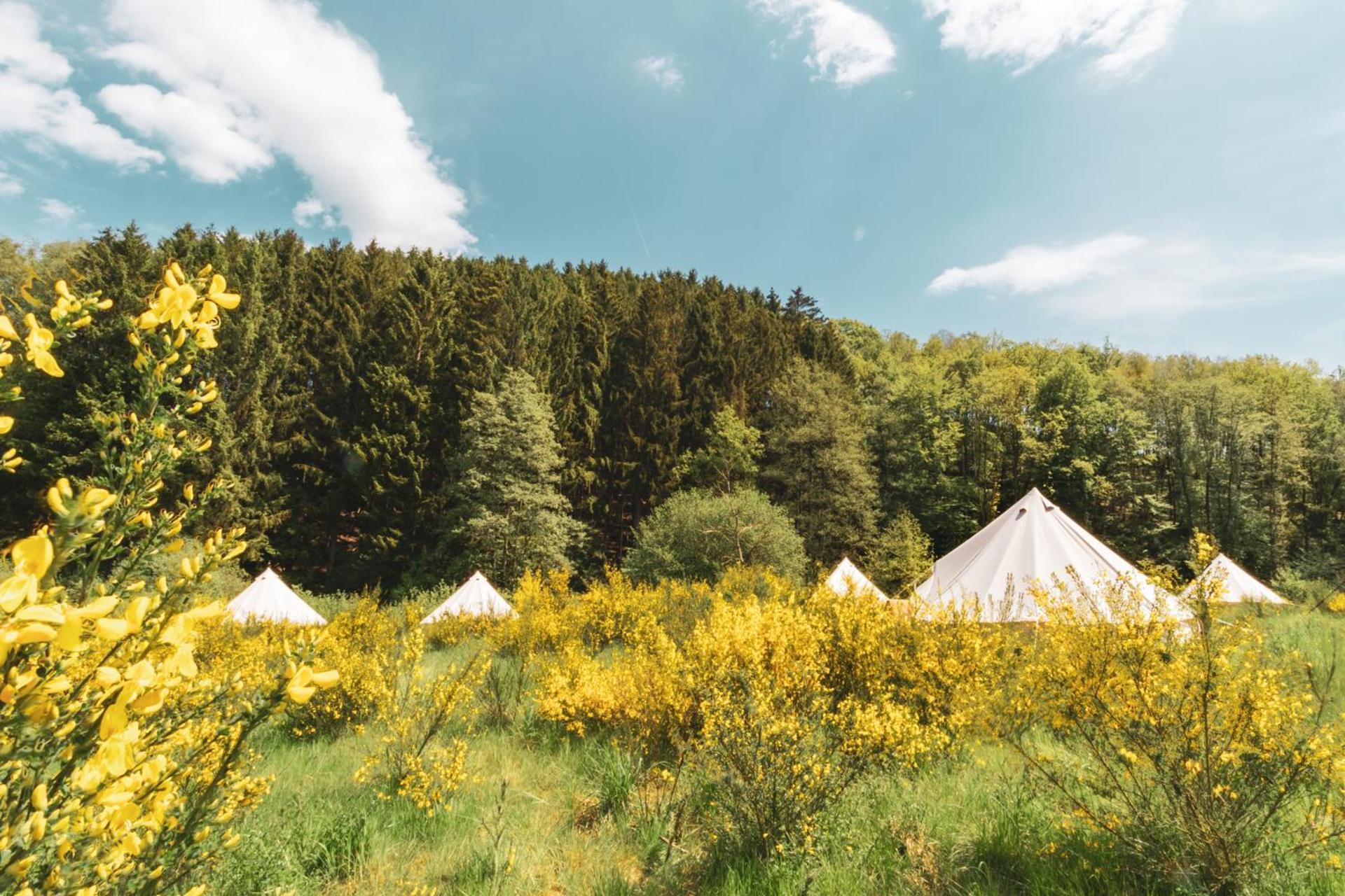 Daft Boutique Hotel & Glamping Malmedy Eksteriør billede